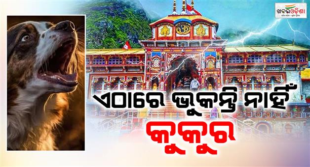 Khabar Odisha:Why-do-dogs-not-bark-in-Badrinath-Dham-Amazing-facts-about-the-mysterious-temple