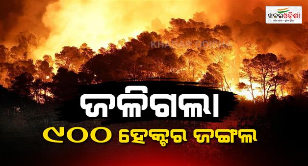 Khabar Odisha:Wildfires-rage-in-French-forests-severe-heat-exacerbates