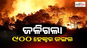 Khabar Odisha:Wildfires-rage-in-French-forests-severe-heat-exacerbates