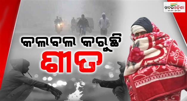 Khabar Odisha:Winter-is-slowly-increasing-dense-fog-is-gathering-G-Udayagiri-was-the-coldest