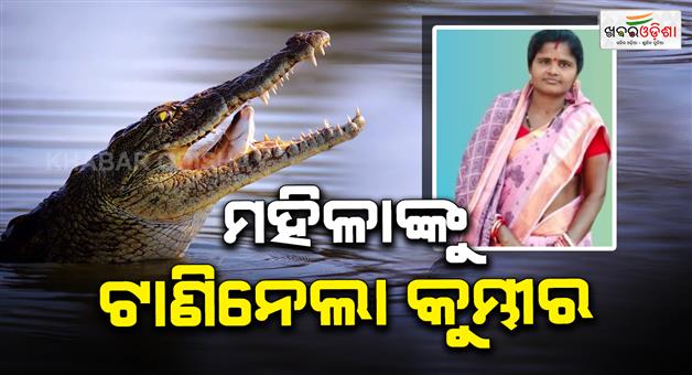 Khabar Odisha:Woman-Dragged-Away-by-Crocodile-While-Bathing-in-Flood-Hit-Kendrapada
