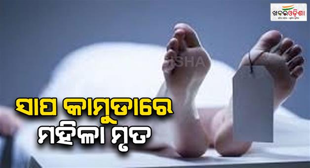 Khabar Odisha:Woman-dies-of-snake-bite-Sad-atmosphere-in-village