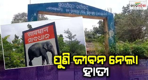 Khabar Odisha:Woman-killed-by-elephant-attack-in-jujomura