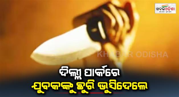 Khabar Odisha:Young-man-killed-in-Delhi-park-over-excise