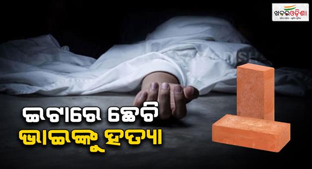 Khabar Odisha:Younger-brother-killed-the-elder-brother-by-hitting-him-with-a-brick