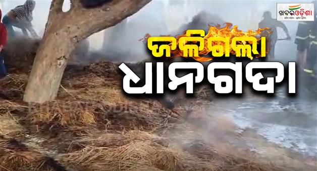 Khabar Odisha:a-paddy-field-caught-fire-rice-worth-lakhs-of-rupees-burnt-to-ashes