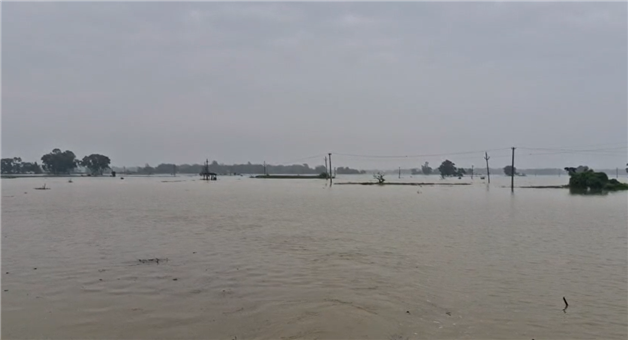 Khabar Odisha:again-flood-in-nothern-odisha