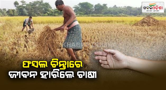 Khabar Odisha:another-farmer-dies-after-consuming-poison-due-to-crop-failure