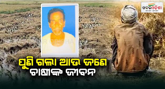 Khabar Odisha:another-farmer-dies-in-chhatrapur-ganjam