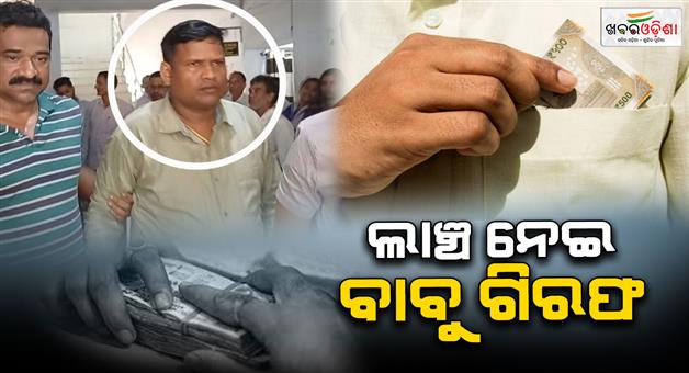 Khabar Odisha:another-government-employee-in-the-vigilance-net