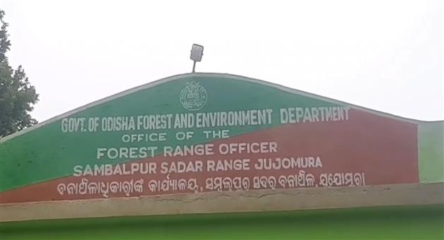 Khabar Odisha:baby-elephant-dead-body-rescued