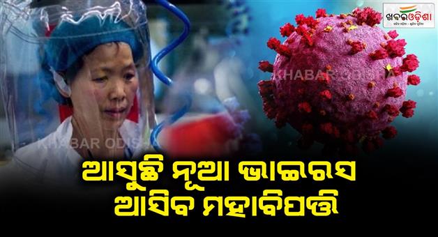 Khabar Odisha:batwoman-warns-everyone-that-another-corona-virus-will-appear-in-future