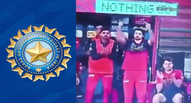 Khabar Odisha:bcci-may-ban-tim-david-for-his-inappropriate-behaviour