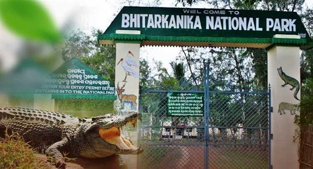 Khabar Odisha:bhitarkanika-national-park-to-remain-closed-from-may-1