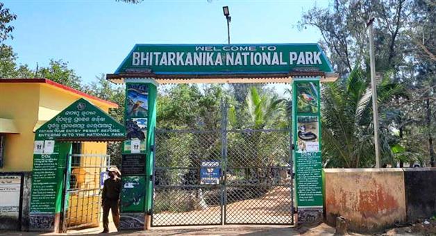 Khabar Odisha:bird-count-in-bhitarkanika