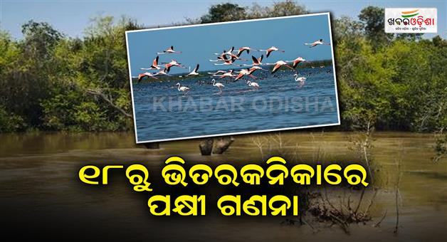 Khabar Odisha:bird-count-in-bhitarkanika-from-18th-january