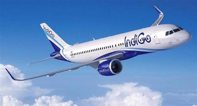 Khabar Odisha:bird-hits-with-nagpur-kolkata-indigo-flight