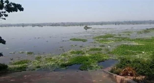 Khabar Odisha:bjp-tagets-bjd-over-mahanadi-pollution