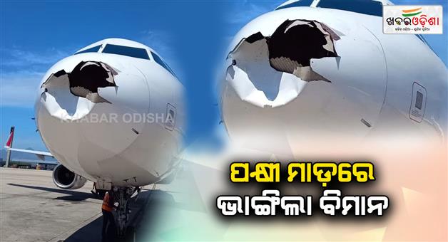 Khabar Odisha:brazil-a-plane-forced-emegency-landing-after-a-bird-collides-with-the-nose