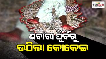 Khabar Odisha:bride-killed-before-marriage-in-jagatsinghpur