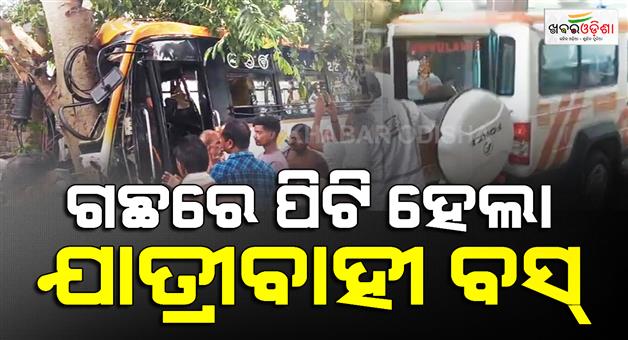 Khabar Odisha:bus-hits-tree-in-nayagada-driver-killed-over-25-injured