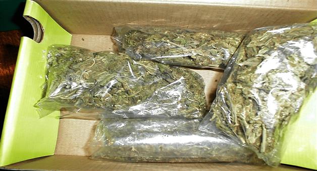 Khabar Odisha:cannabis-smuggling-in-rajdhani-express