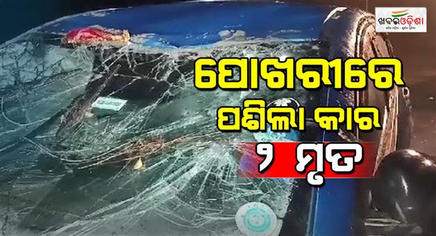 Khabar Odisha:car-plunges-into-pond-2-dead