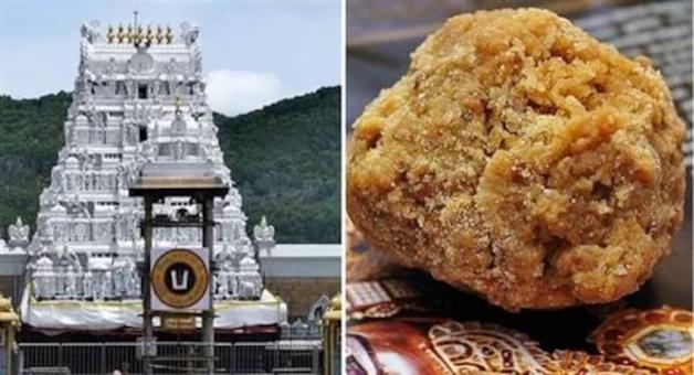 Khabar Odisha:center-seeks-report-to-andra-pradesh-government-over-tirupati-laddu-row