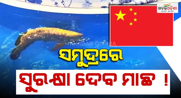 Khabar Odisha:china-develops-under-water-robotic-fish