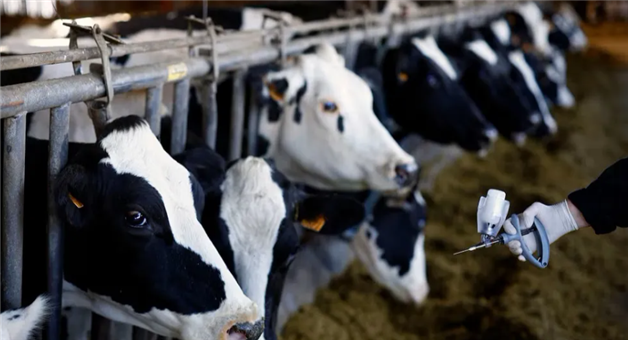 Khabar Odisha:china-new-virus-outbreak-sat1-serotype-deadly-threat