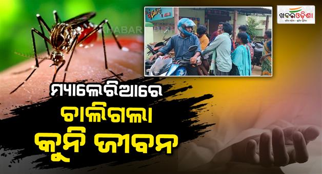 Khabar Odisha:class-iv-boy-dies-of-malaria-in-odishas-rayagada-district-body-carried-on-motorcycle