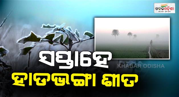 Khabar Odisha:cold-to-continue-for-another-7-days