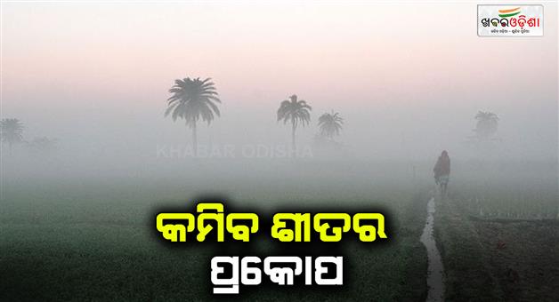 Khabar Odisha:cold-wave-conditions-likely-to-fall-from-tomorrow