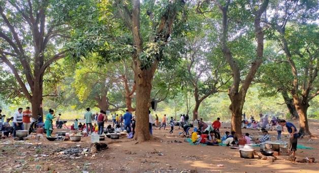 Khabar Odisha:commerce-and-transport-department-issues-guidelines-for-picnics-action-will-be-taken-if-not-followe