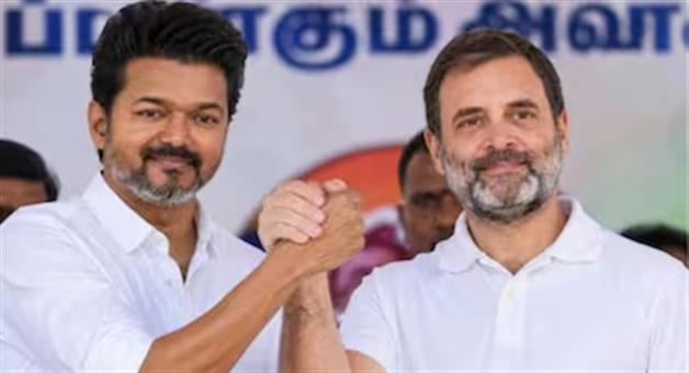 Khabar Odisha:congress-agrees-to-support-vijay-s-tvk