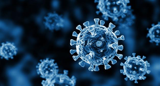 Khabar Odisha:covid-infections-are-increasing-active-cases-30-in-odisha