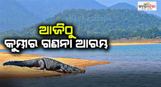 Khabar Odisha:crocodile-counting-will-start-from-today-no-entry-for-tourists