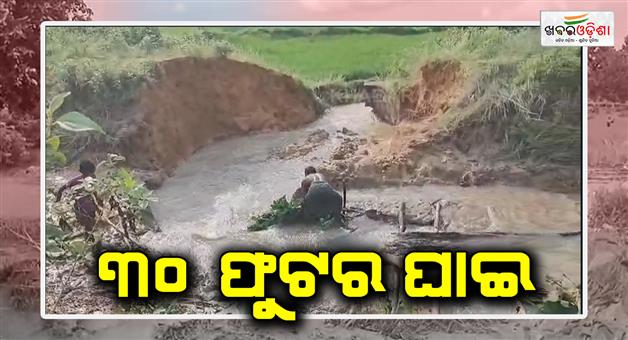 Khabar Odisha:danda-dhar-canal-break-down-in-dhenkanal