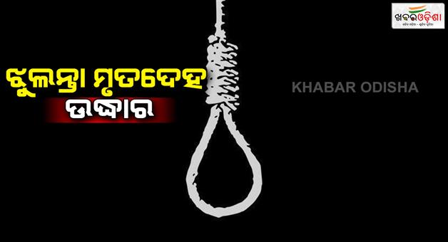 Khabar Odisha:dead-body-recovered-from-electric-pole