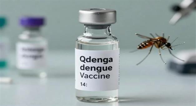 Khabar Odisha:dengue-vaccine-qdenga-approved-in-india-price-and-effectiveness-explained
