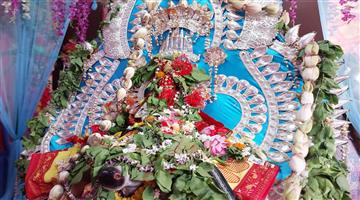 Khabar Odisha:devotee-gather-to-see-loard-sibha-and-parvati