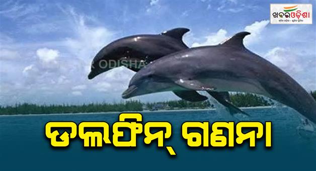 Khabar Odisha:dolphin-census-starts-in-chilika