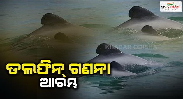 Khabar Odisha:dolphin-census-starts-in-rajanagar-forest-range