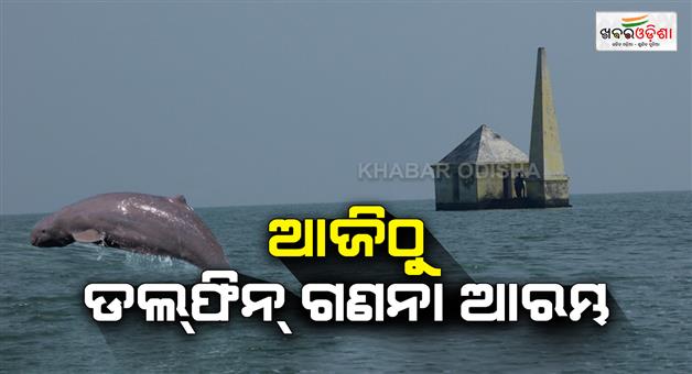 Khabar Odisha:dolphin-count-begins-in-chilika-by-forest-dept