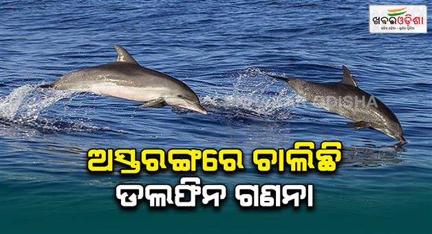 Khabar Odisha:dolphin-counting-to-start-from-today-in-puri-and-baleswar