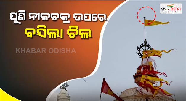 Khabar Odisha:eagle-spotted-again-atop-srimandir-nilachakra