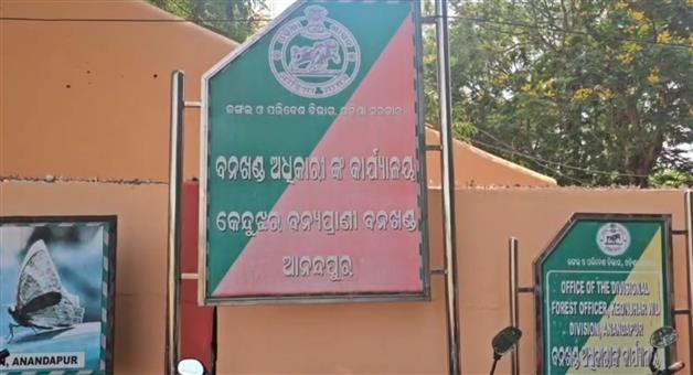 Khabar Odisha:elephant-dead-in-keonjhar