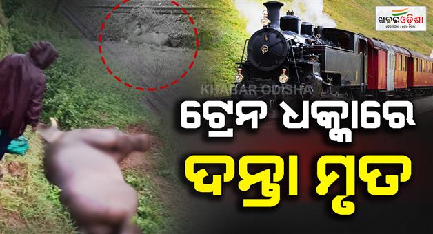 Khabar Odisha:elephant-death-by-train-accident-at-rayagada