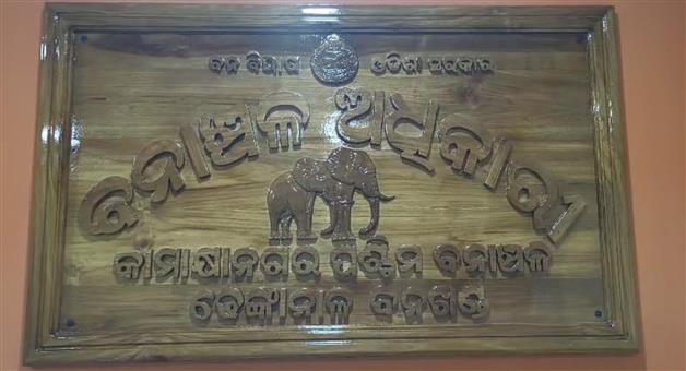 Khabar Odisha:elephant-died-in-dhenkanal