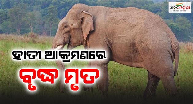 Khabar Odisha:elephant-enters-house-and-crushes-elderly-man-to-death
